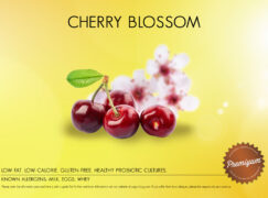 Cherry Blossom